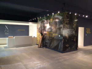 X61 Development Showroom